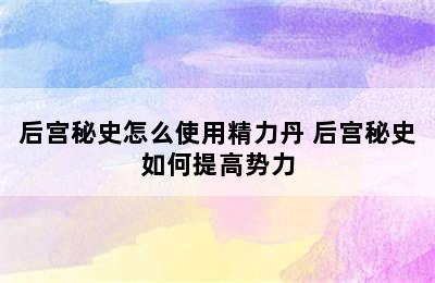 后宫秘史怎么使用精力丹 后宫秘史如何提高势力